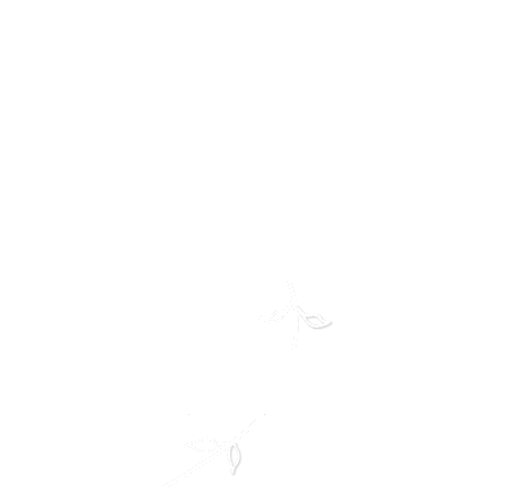 LA STORIA DI TROPICANA